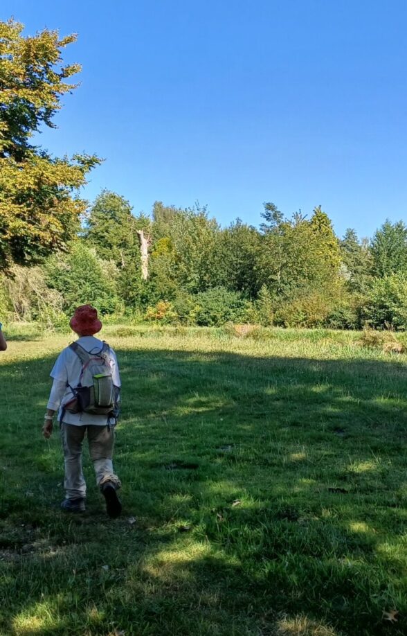 Randonnée accompagnée "Au fil des moulins"_Cernay-la-Ville