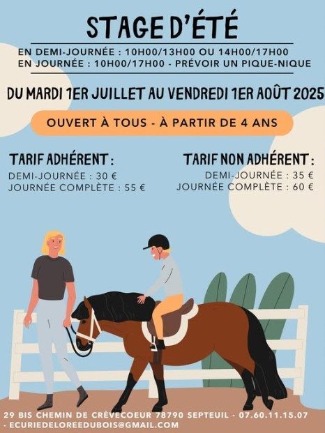 Stage d'été d'équitation : L'orée du Bois_Septeuil
