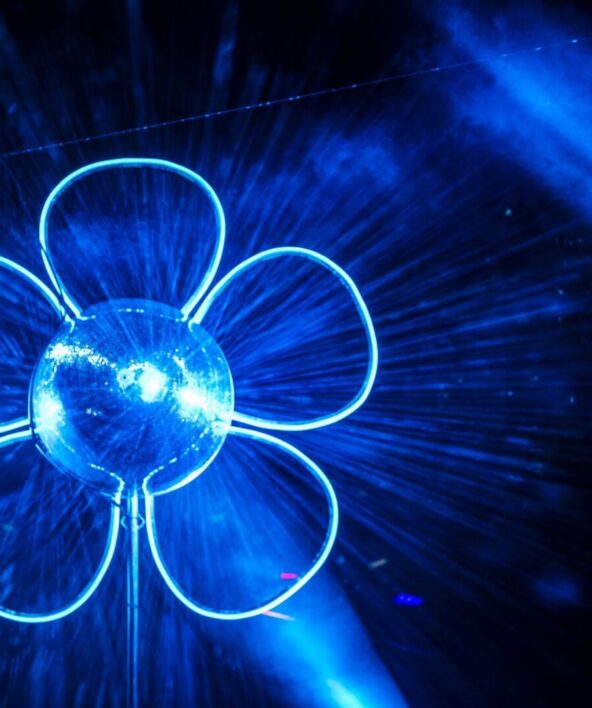 Dance fleurs_Rambouillet