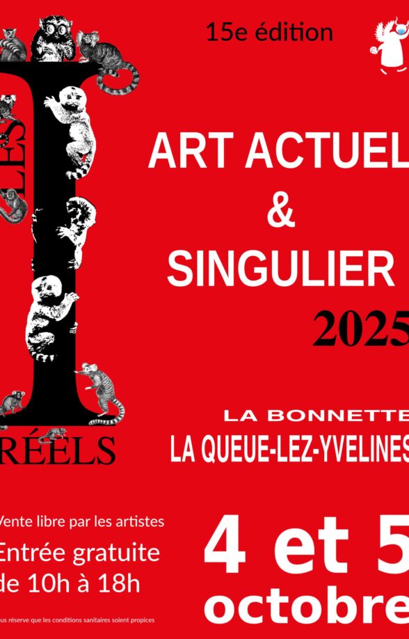 Affiche salon LES I REELS