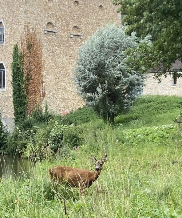 JEP au Domaine d'Ors_Châteaufort