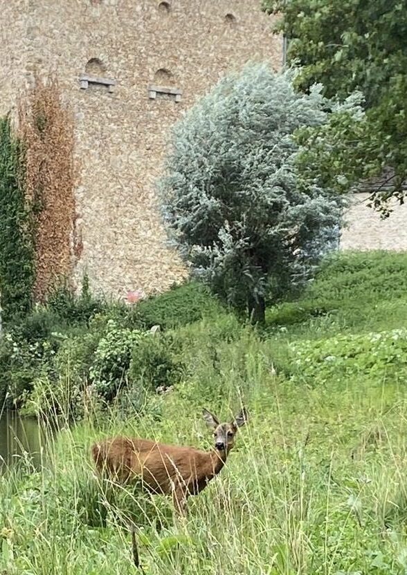 JEP au Domaine d'Ors_Châteaufort