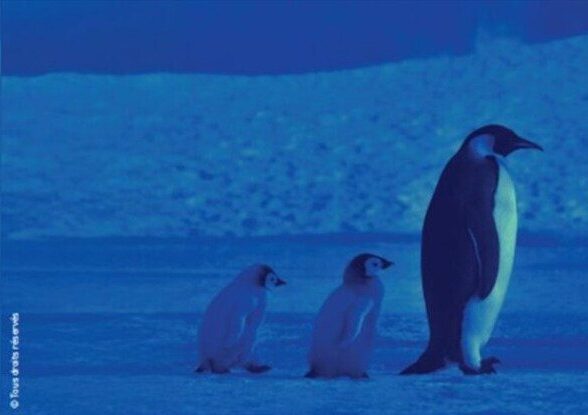 Buc Talk Le climat, et moi, et moi, et moi… 12 leviers pour agir à l’échelle individuelle_Buc