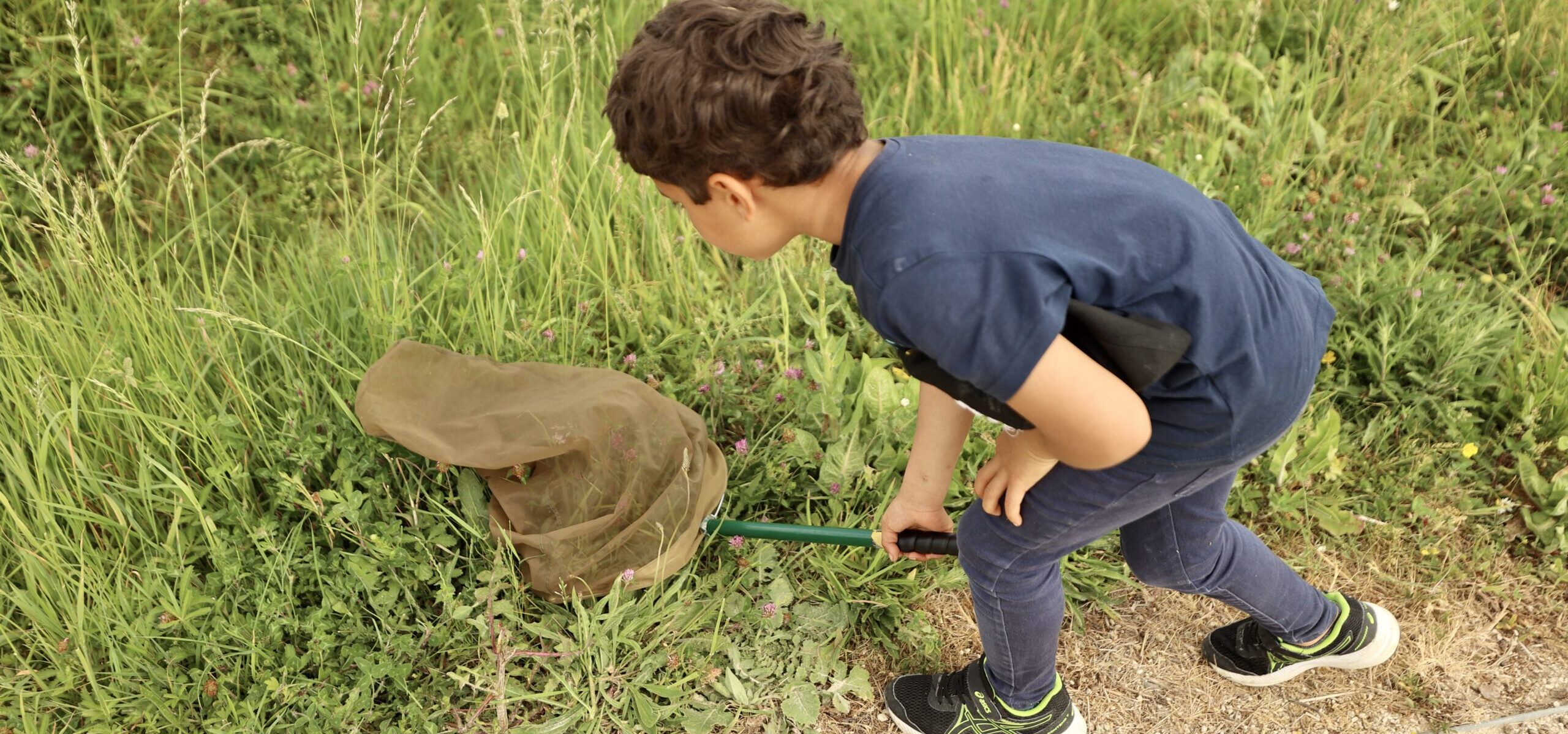 Sortie nature : découverte des petites bêtes du sol_Carrières-sous-Poissy