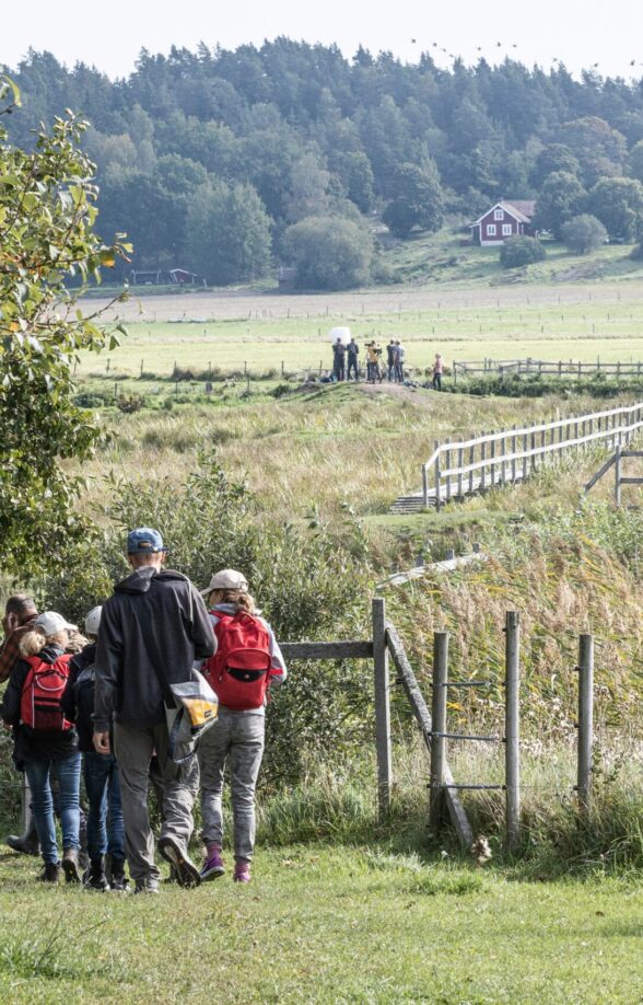 Sortie nature "Entre ville et campagne - Histoires de lisière – Le vallon du Pommeret"_Rambouillet
