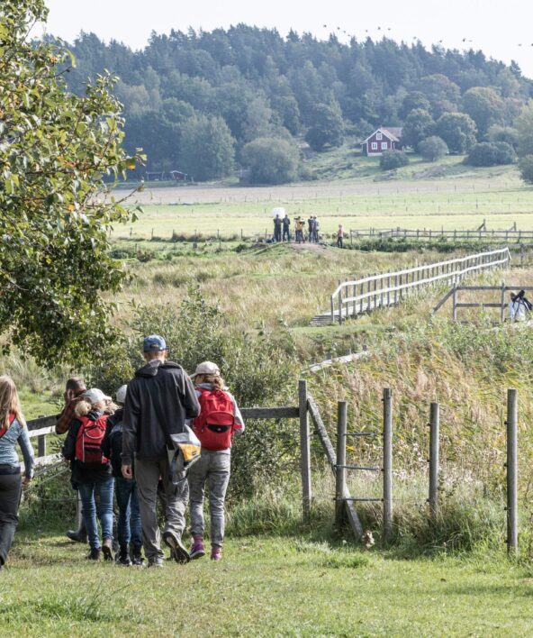 Sortie nature "Entre ville et campagne - Histoires de lisière – Le vallon du Pommeret"_Rambouillet