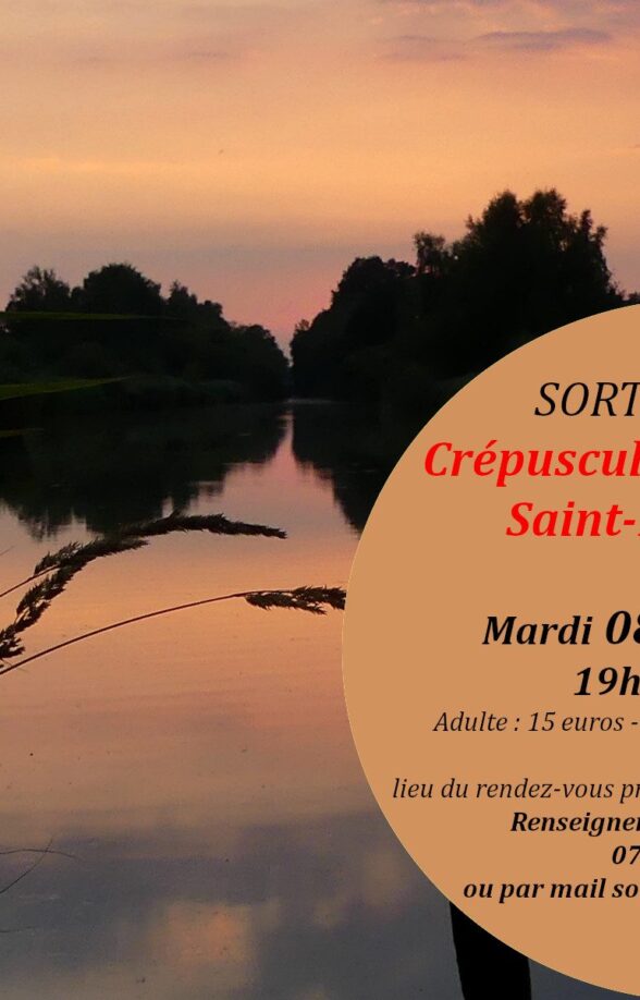 Sortie nature "Crépuscule aux étangs de Saint-Hubert"_Les Bréviaires