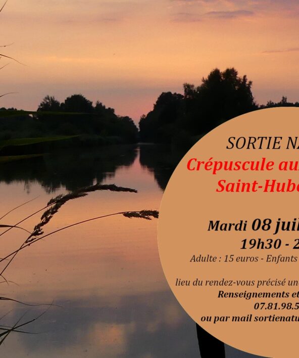 Sortie nature "Crépuscule aux étangs de Saint-Hubert"_Les Bréviaires