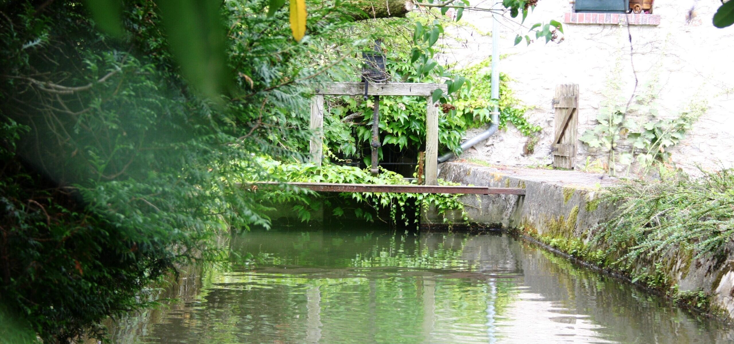 Le Moulin de Dannemarie