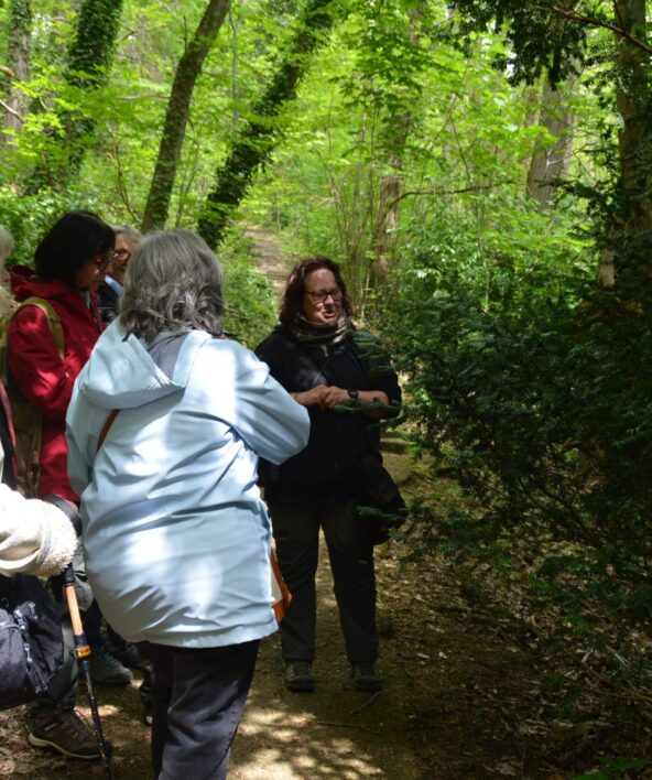 Merveilles de la Nature au bord de la Bièvre (balade découverte)_Jouy-en-Josas