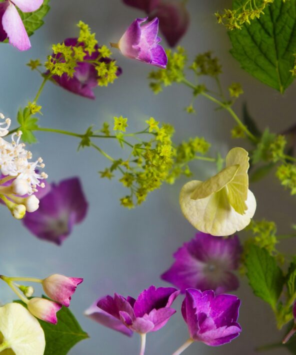 Art floral_Rambouillet