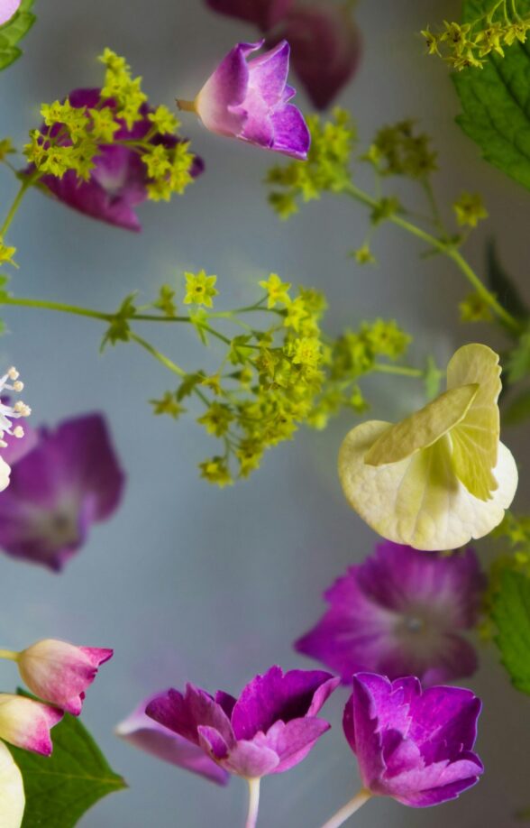 Art floral_Rambouillet