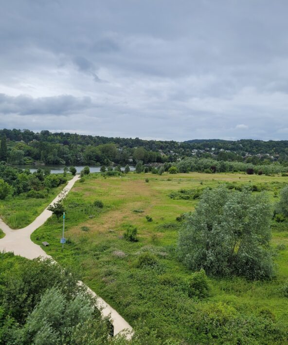 Sortie nature JEP : A l'affut des oiseaux du parc_Carrières-sous-Poissy