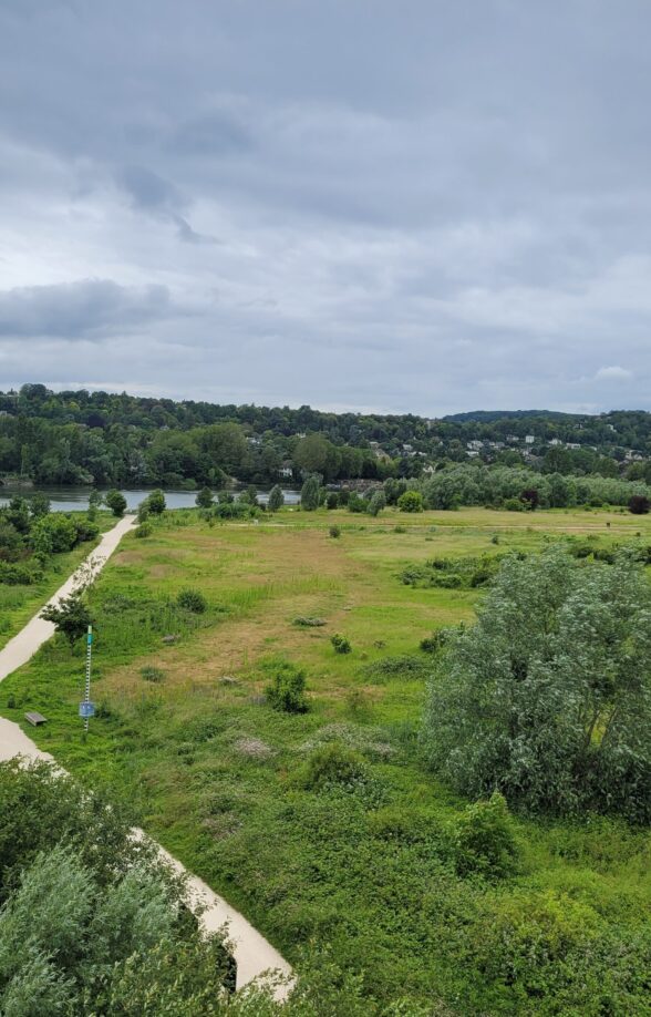 Sortie nature JEP : A l'affut des oiseaux du parc_Carrières-sous-Poissy