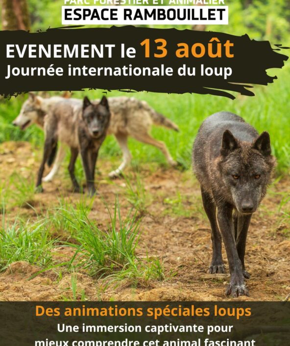 Journée internationale du loup_Sonchamp