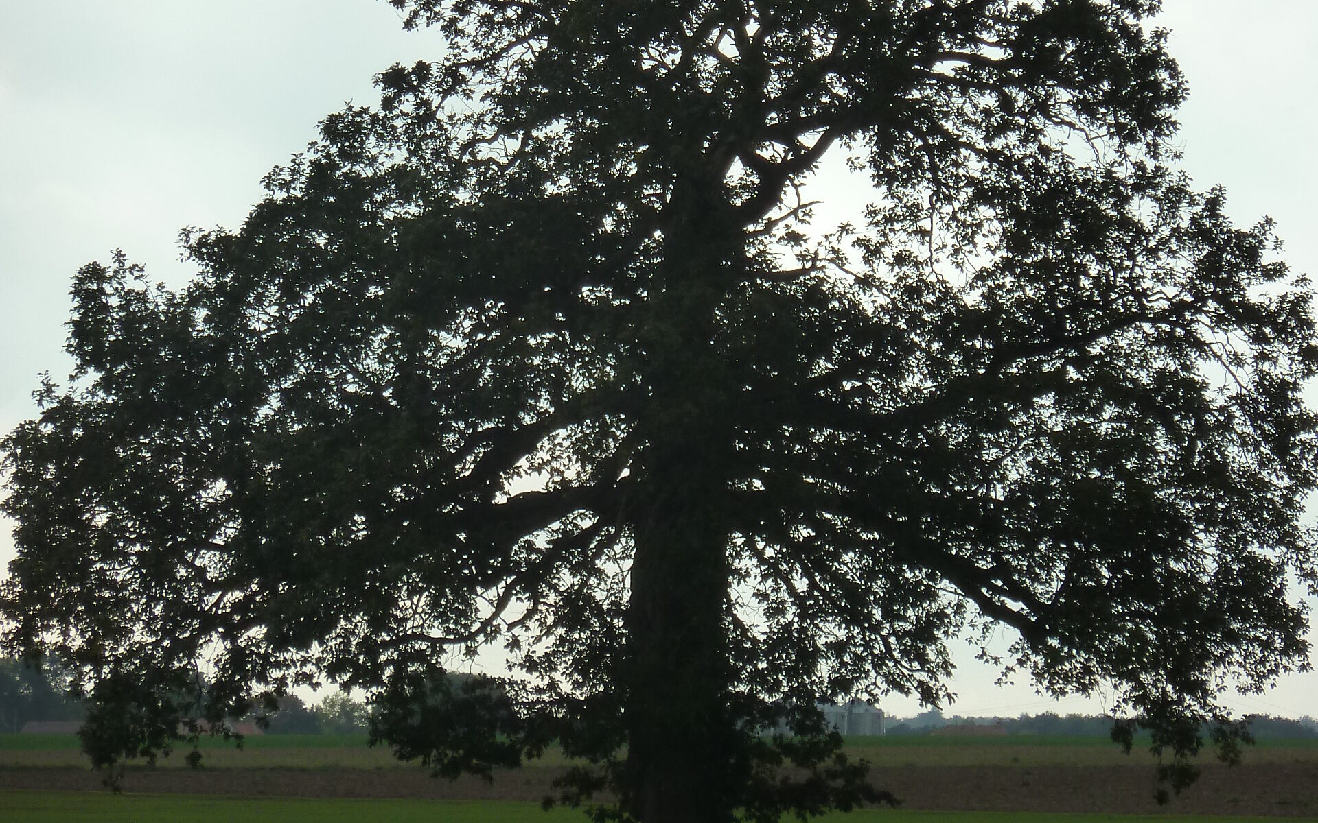 Promenade autour de Longnes_Longnes