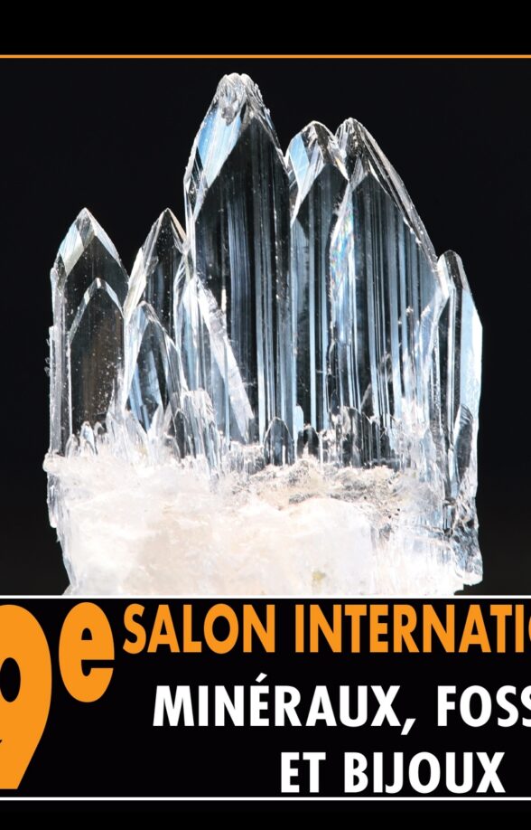 49ème Salon International des Minéraux, fossiles et bijoux_Jouy-en-Josas