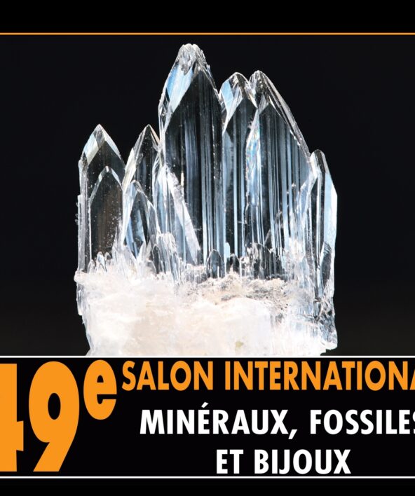 49ème Salon International des Minéraux, fossiles et bijoux_Jouy-en-Josas