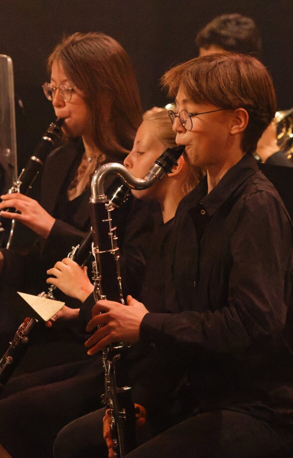 Concert du nouvel an_Rambouillet