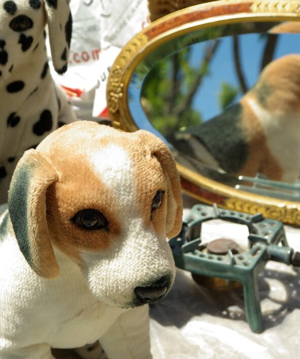Brocante de Médan_Médan