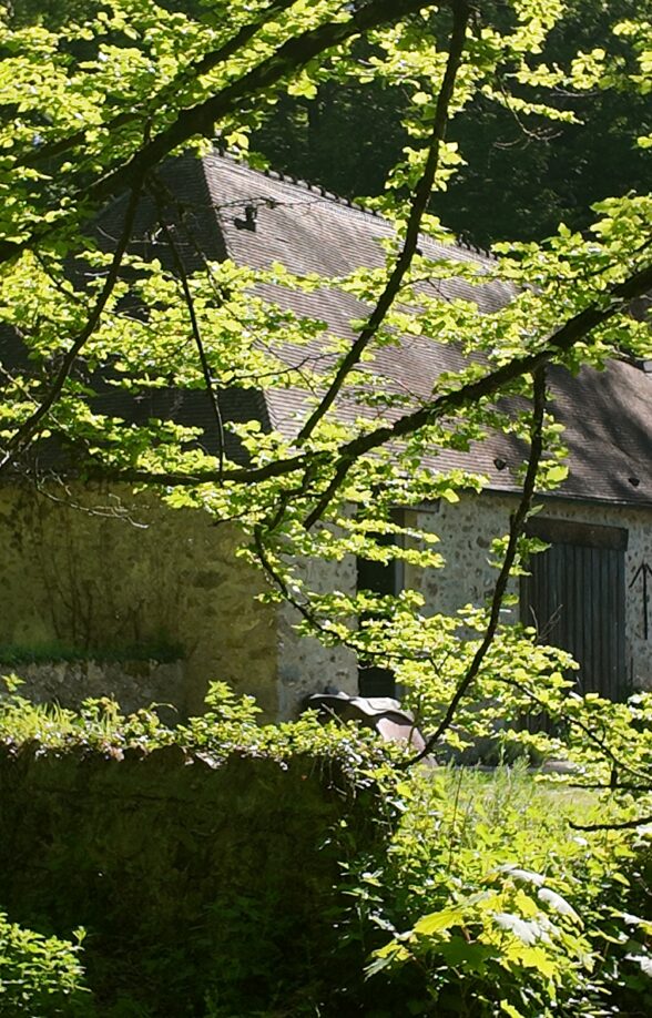 Les JEP au Petit Moulin