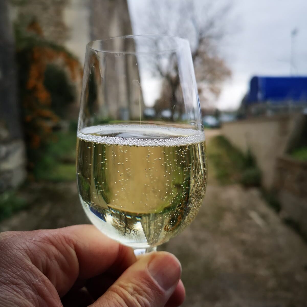 CLUB ŒNOLOGIQUE : Séance découverte_Louveciennes