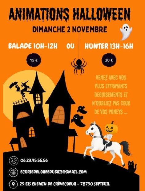 Ecurie l'Orée du bois : animations Halloween_Septeuil