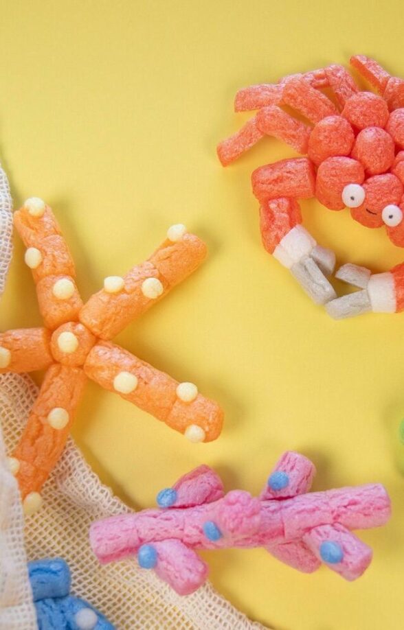 Espace Richaud - Visite-atelier : Bateaux et animaux marins_Versailles