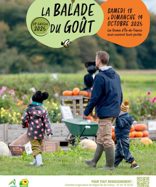 La balade du goût