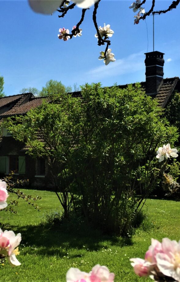 Entre figue et glycine_Mittainville