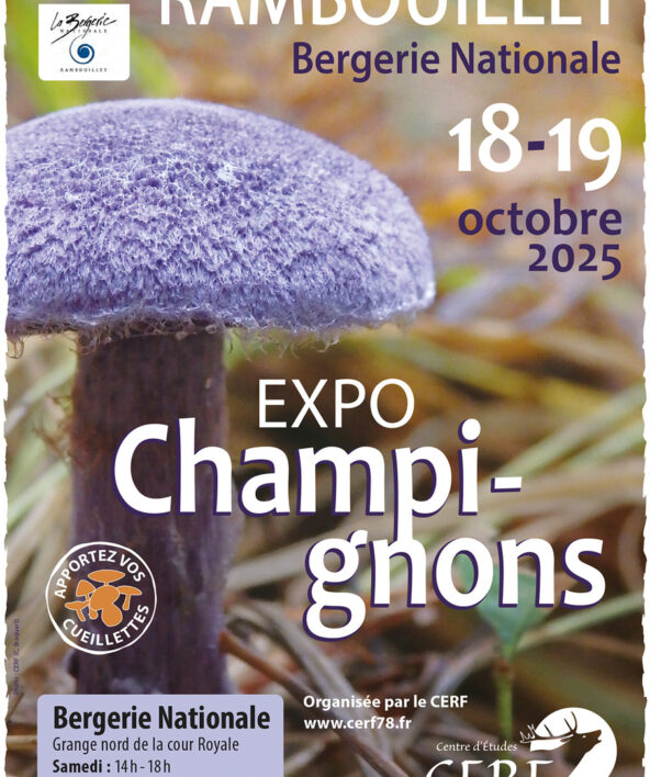 Expo champignons_Rambouillet