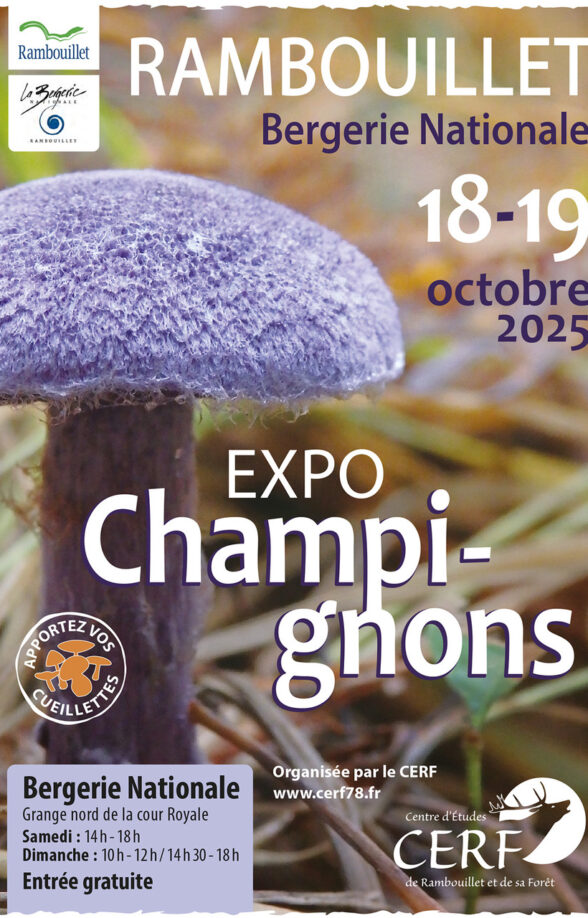 Expo champignons_Rambouillet