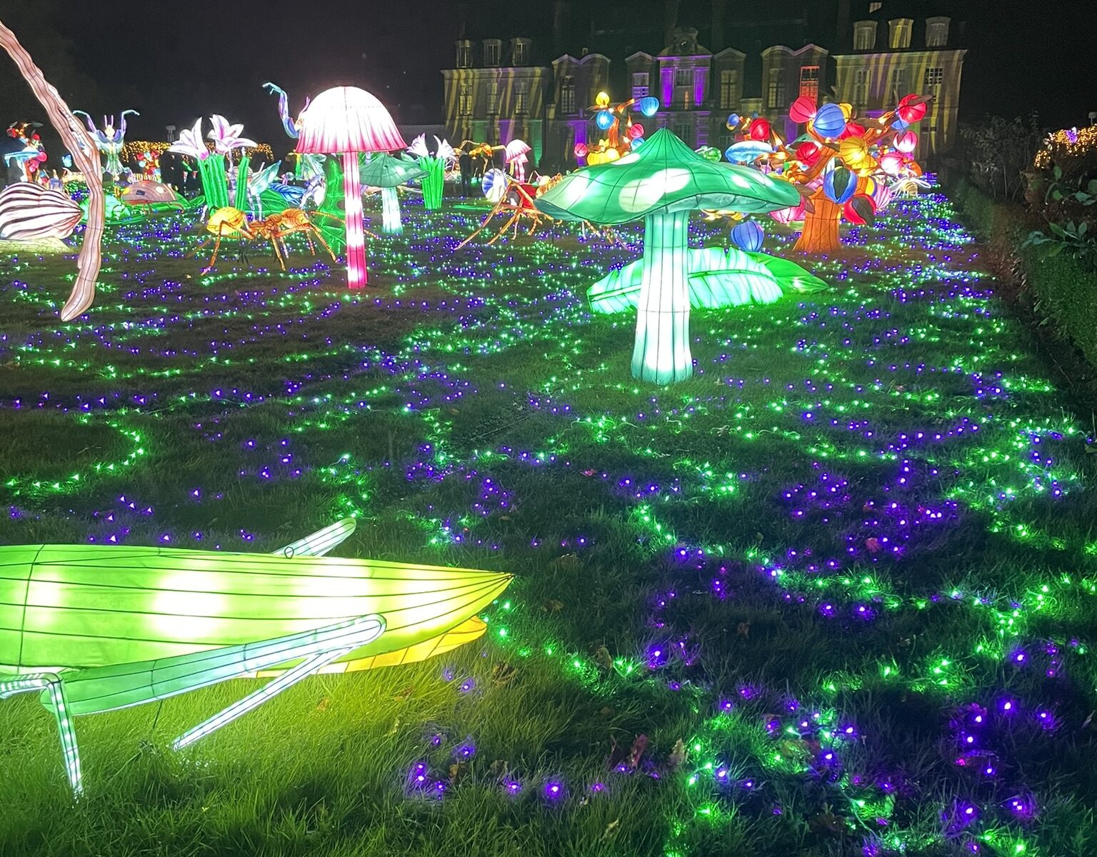 Thoiry Lumières Sauvages_Thoiry