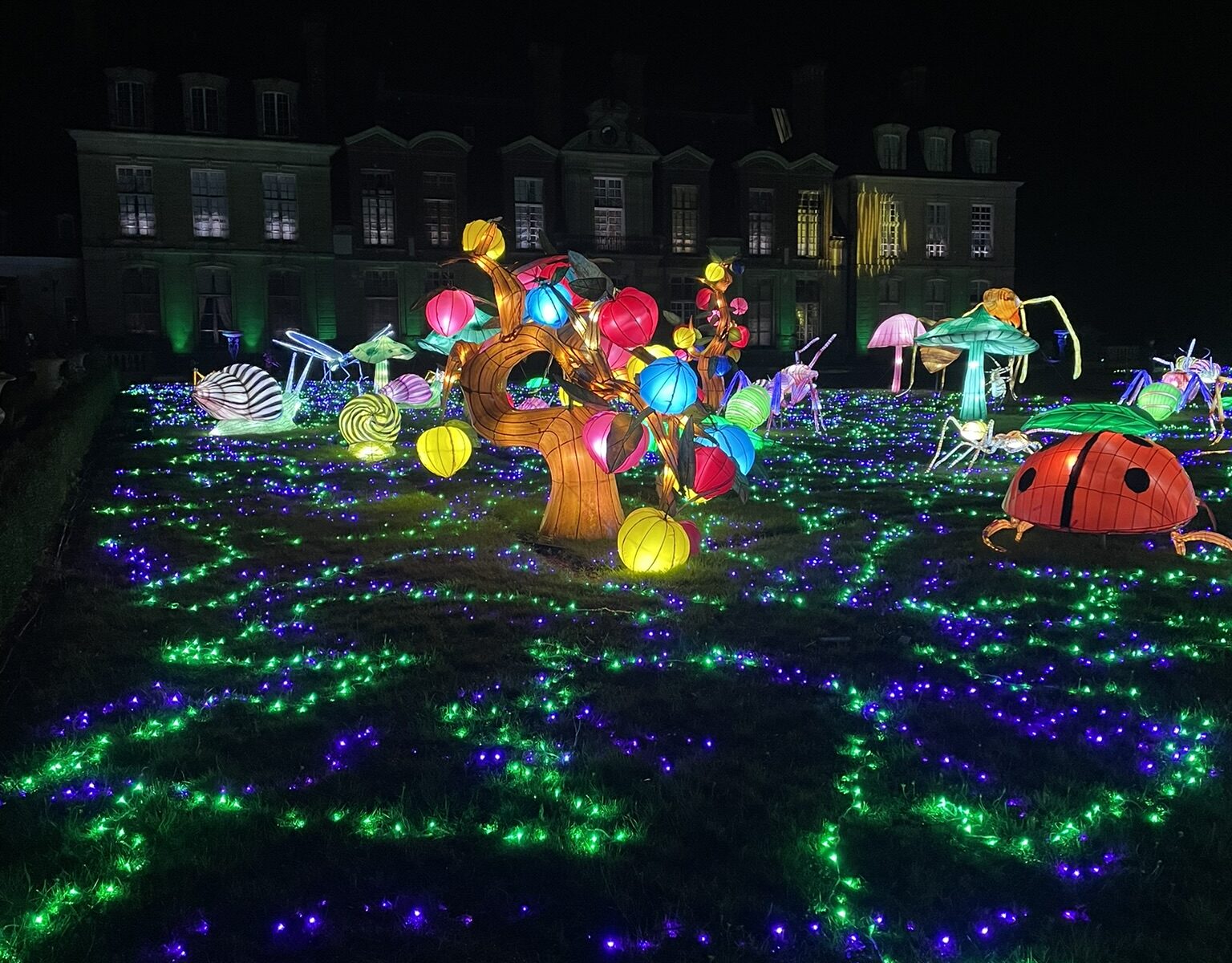 Thoiry Lumières Sauvages_Thoiry
