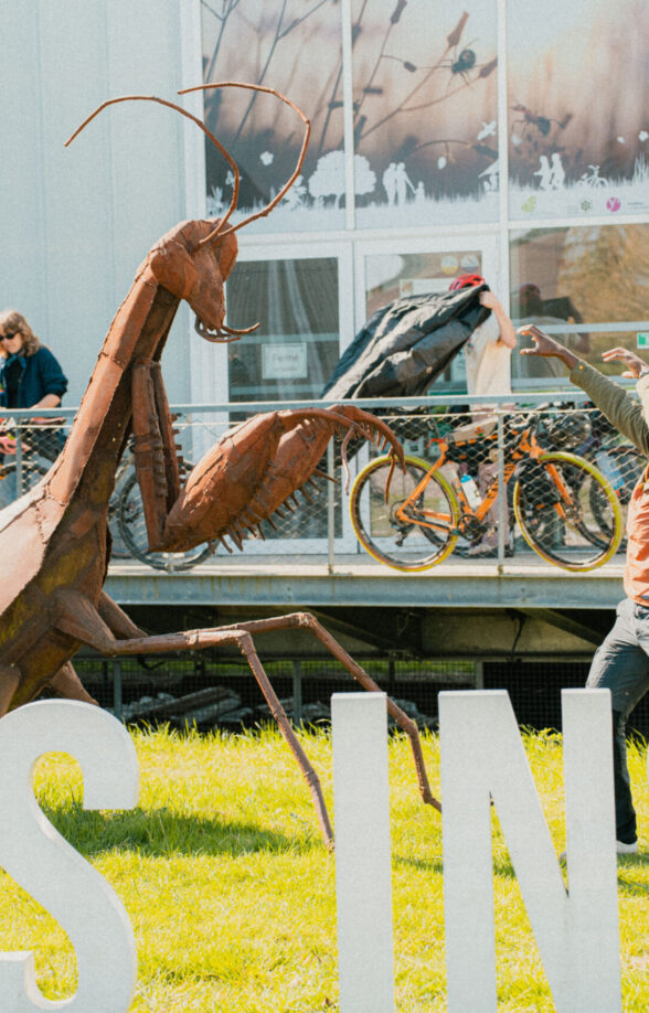La Maison des Insectes_Carrières-sous-Poissy