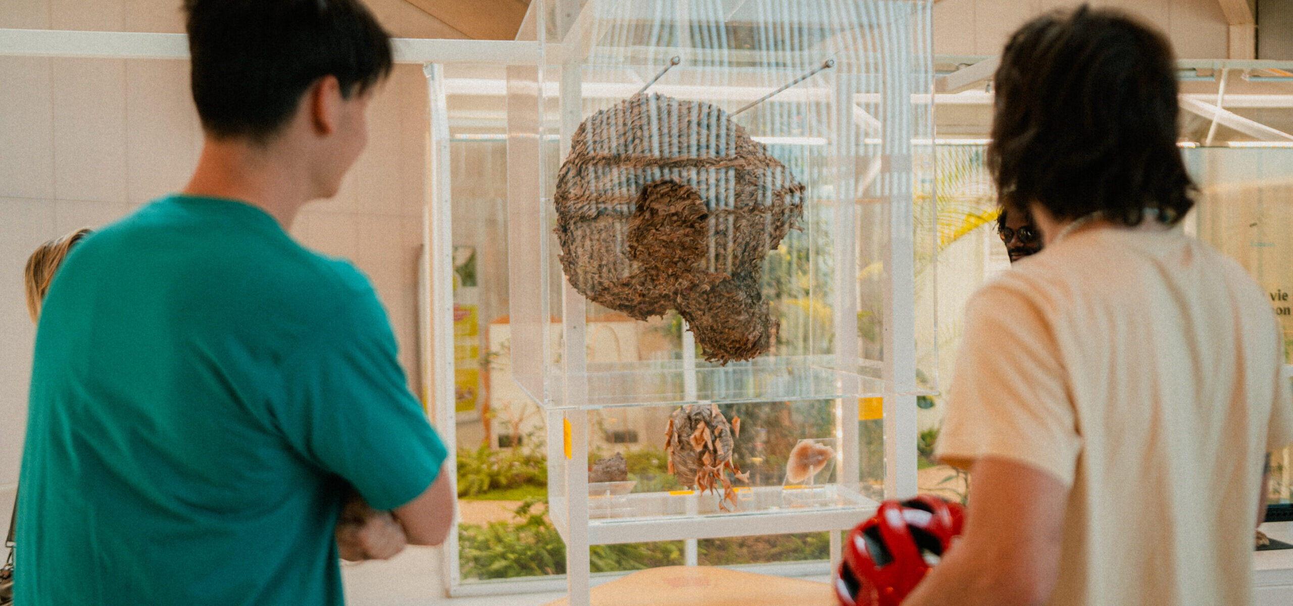 La Maison des Insectes_Carrières-sous-Poissy