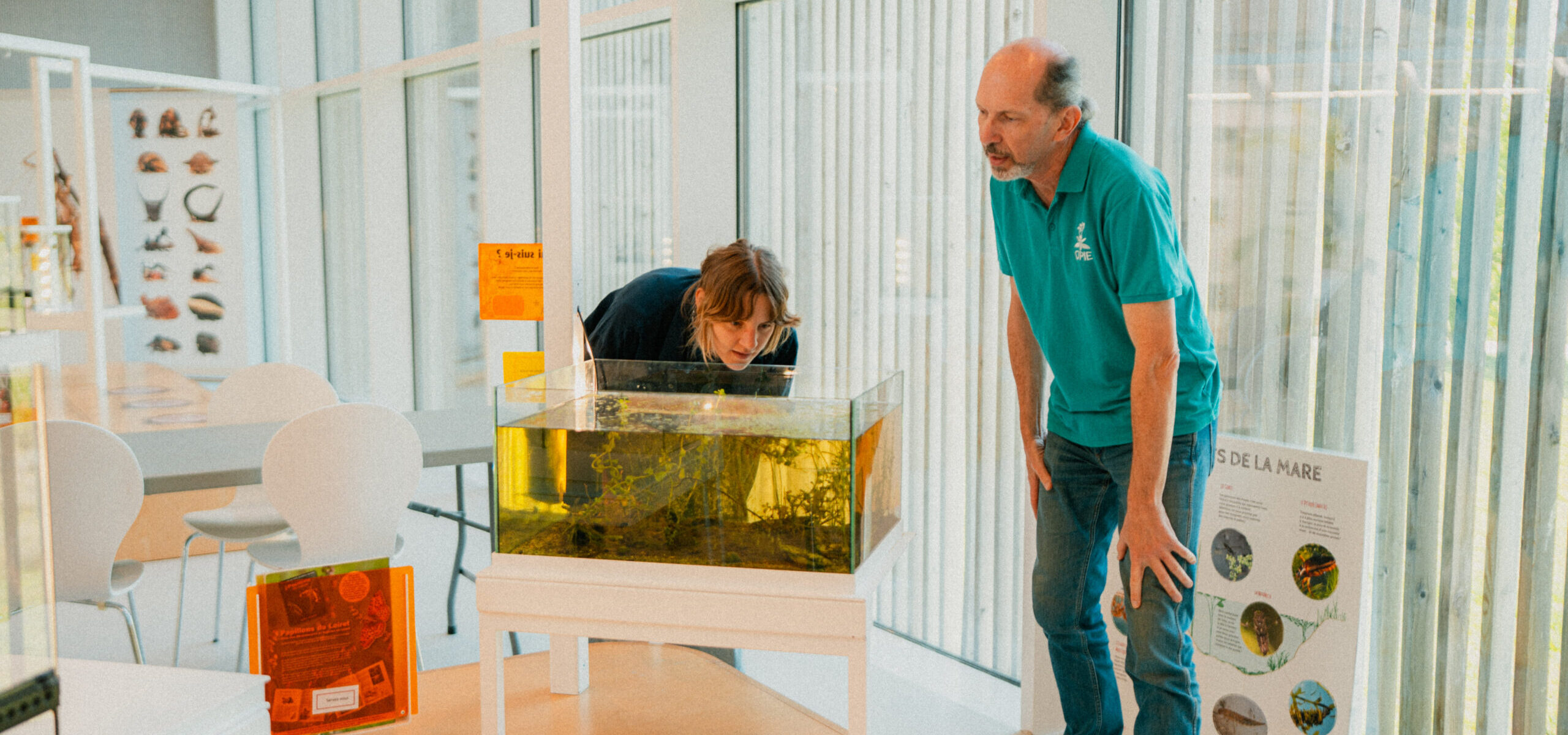 La Maison des Insectes_Carrières-sous-Poissy
