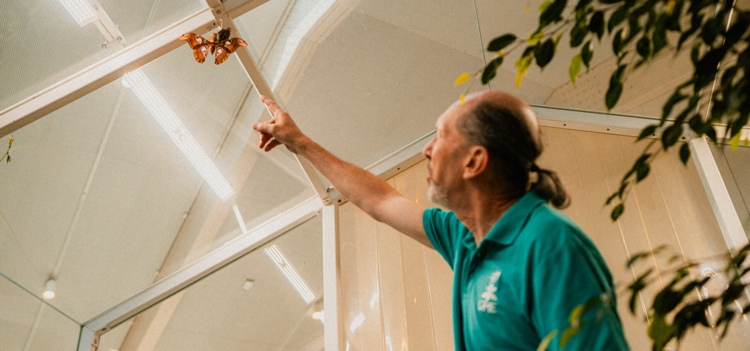 La Maison des Insectes_Carrières-sous-Poissy