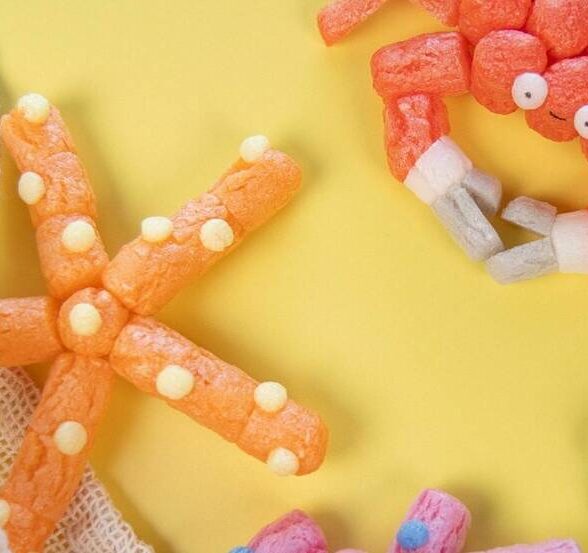 Espace Richaud - Visite-atelier : Bateaux et animaux marins_Versailles