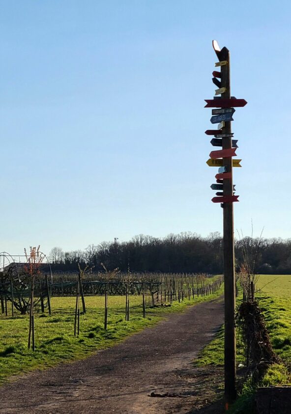 Balade Le Chemin aux étoiles_Épône