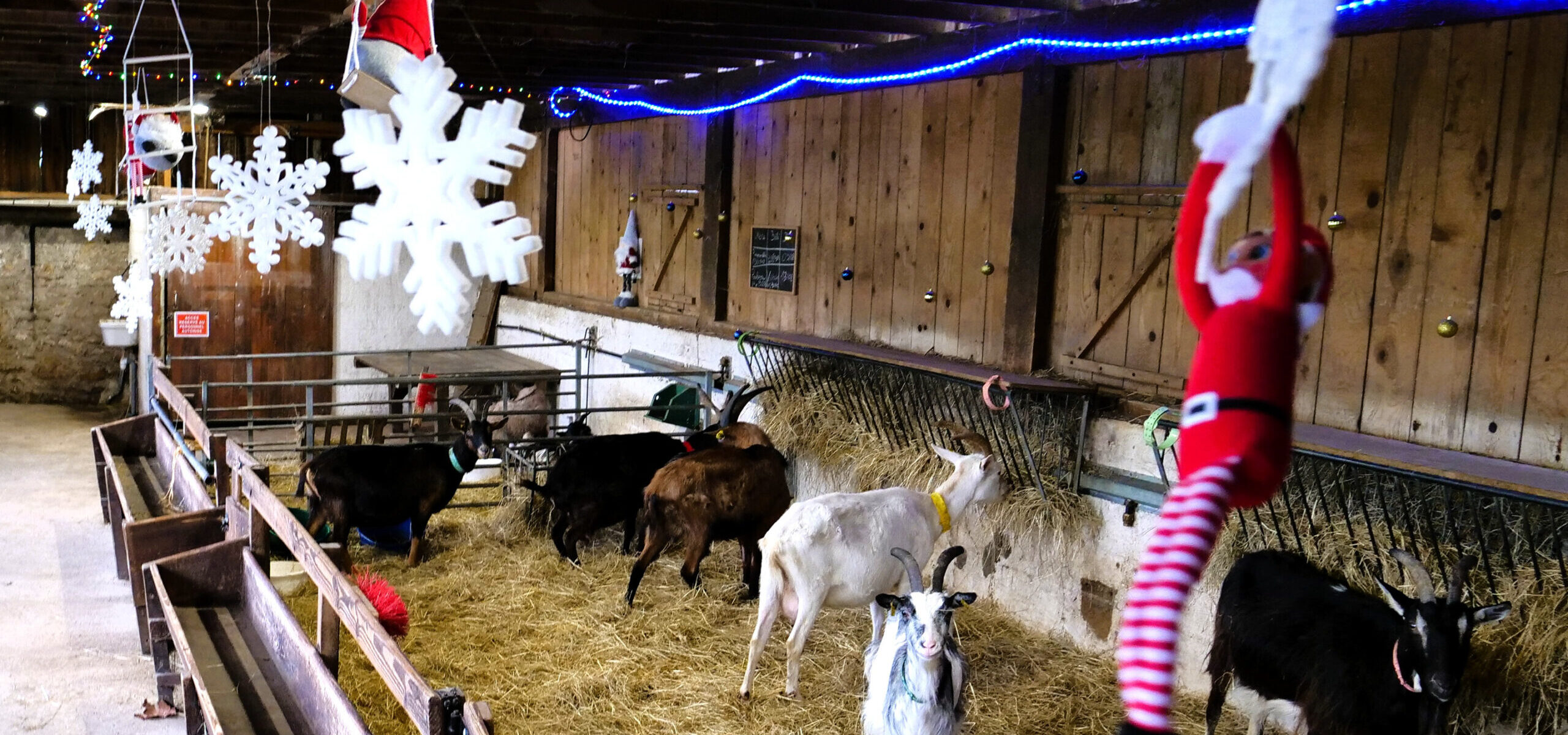 Bergerie fête noel 2024