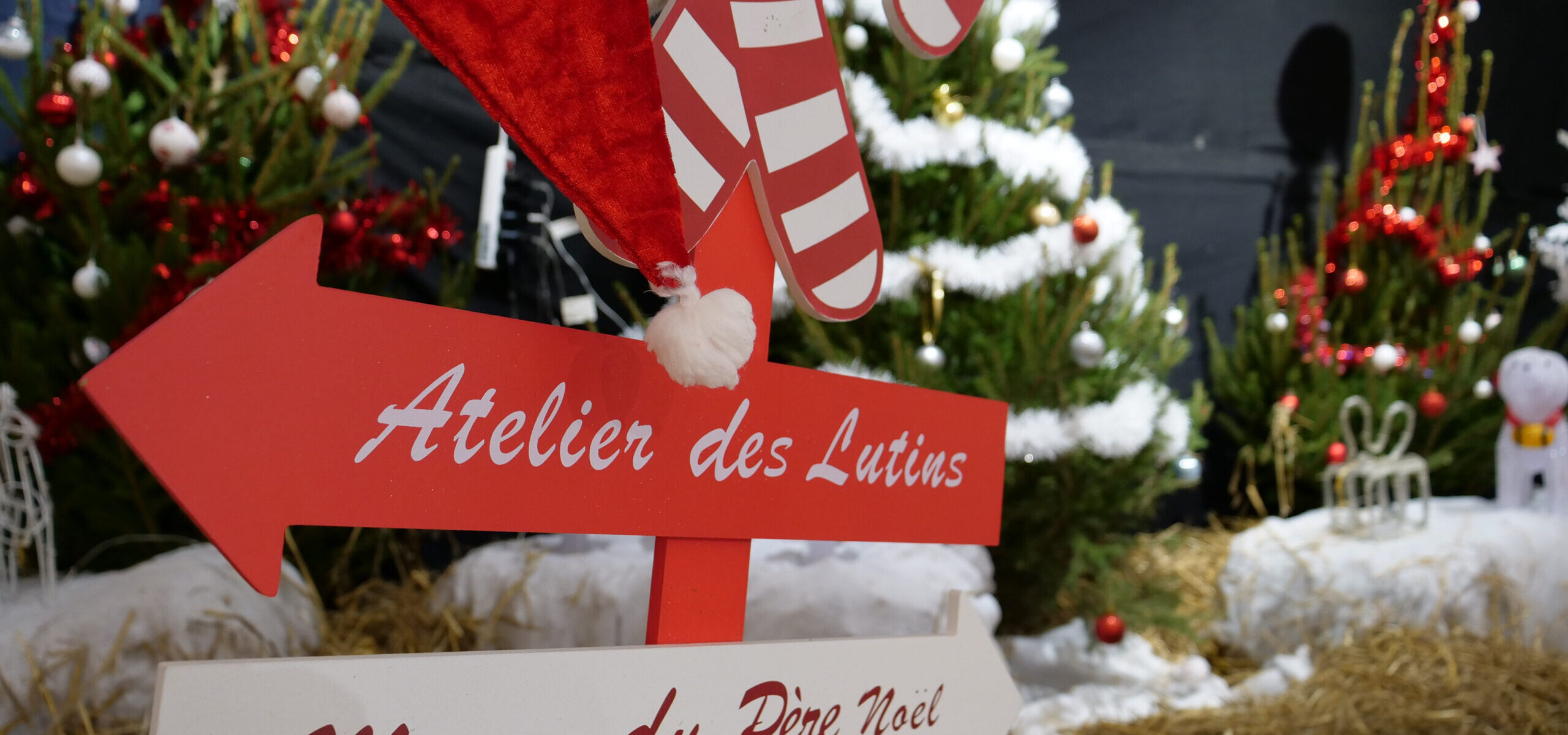 Bergerie fête noel 2024