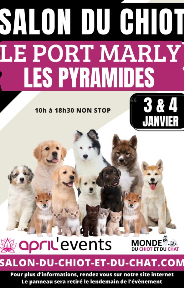 panneaux le port marly