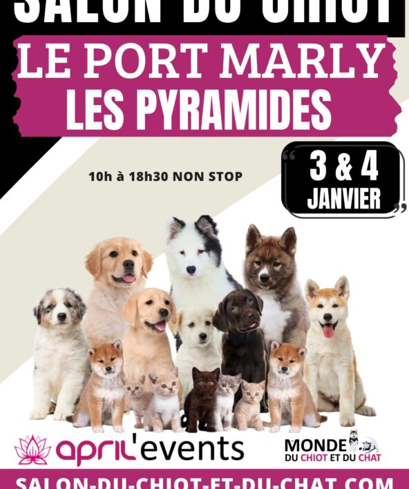 panneaux le port marly