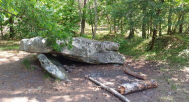 Pierre Ardoue à Saint-Léger-en-Yvelines, plus grand dolmen d'Ile-de-France