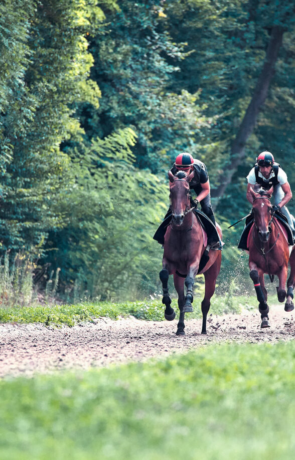 Visite découverte de l’unique Centre d’entraînement de galop et d’obstacle d'Île-de-France_Maisons-Laffitte
