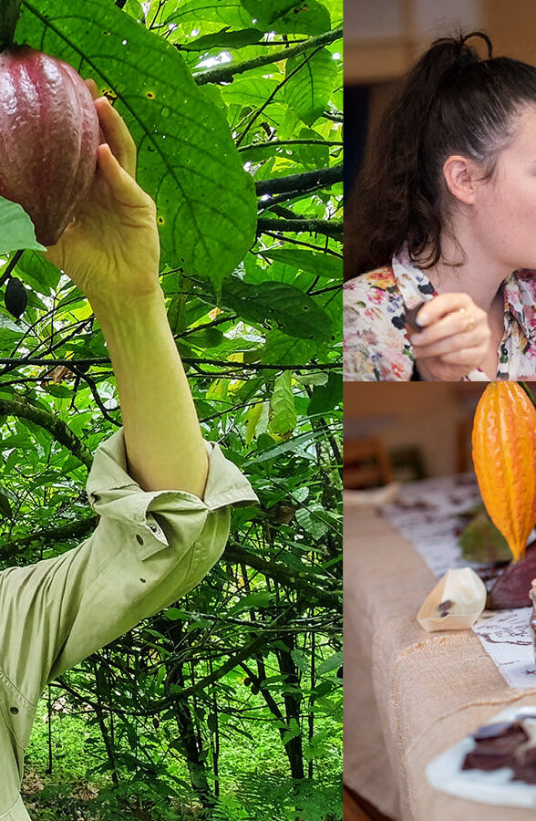 L'Expérience de dégustation immersive "Cacao & Chocolat"_Carrières-sur-Seine