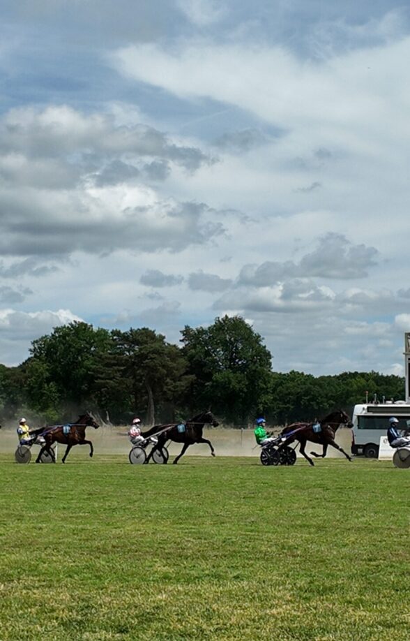 Programme des courses hippiques à Rambouillet_Rambouillet