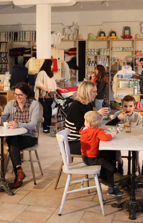 Mérinos café_Rambouillet