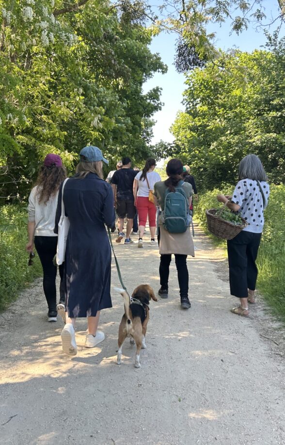 Sortie nature : De la plante aux matériaux artistiques_Carrières-sous-Poissy